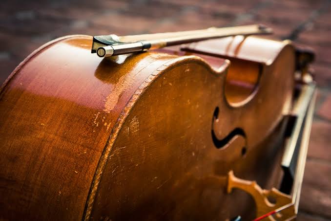 Madaleen Mahne with cello performance qualifications